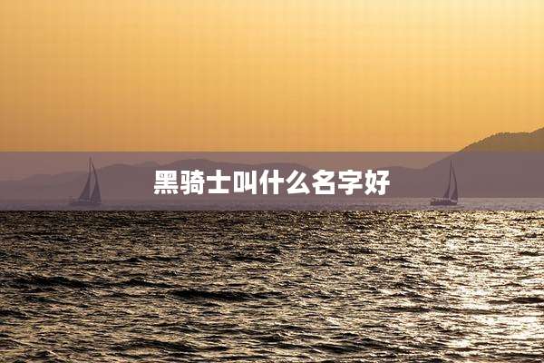 黑骑士叫什么名字好