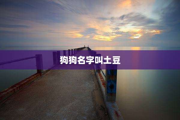 狗狗名字叫土豆