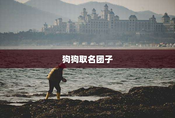 狗狗取名团子