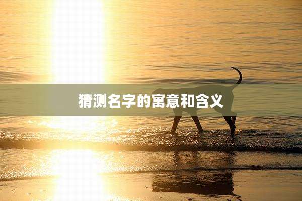 猜测名字的寓意和含义