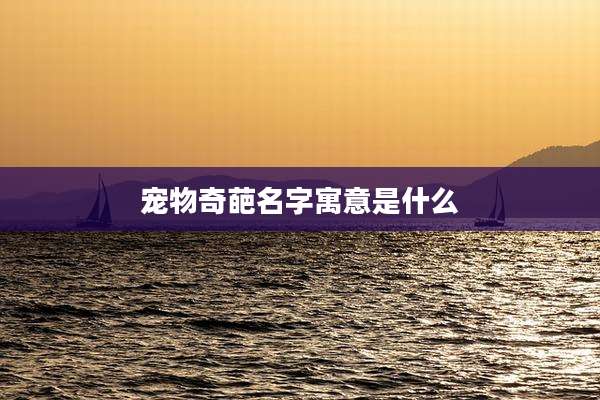 宠物奇葩名字寓意是什么