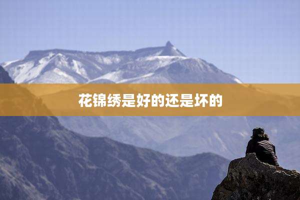 花锦绣是好的还是坏的