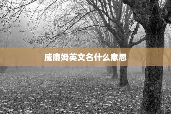 威廉姆英文名什么意思