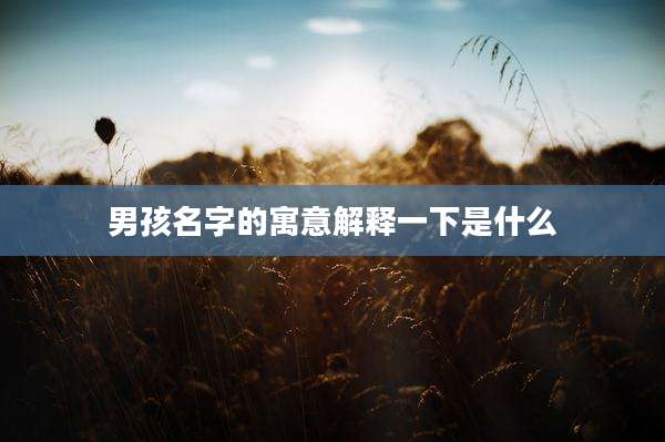 男孩名字的寓意解释一下是什么
