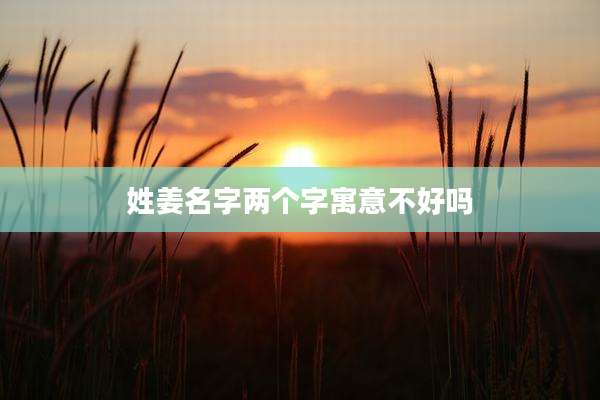 姓姜名字两个字寓意不好吗