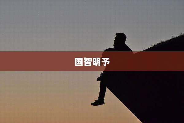 国智明予