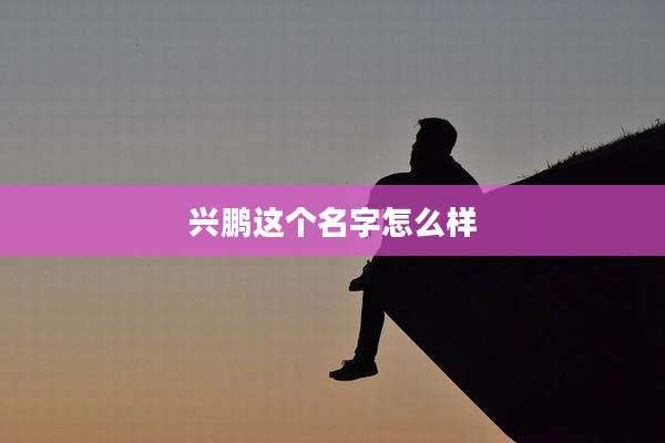 兴鹏这个名字怎么样