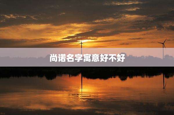 尚诺名字寓意好不好
