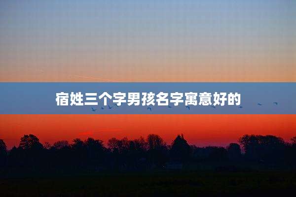 宿姓三个字男孩名字寓意好的