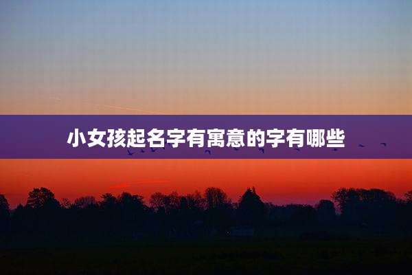 小女孩起名字有寓意的字有哪些