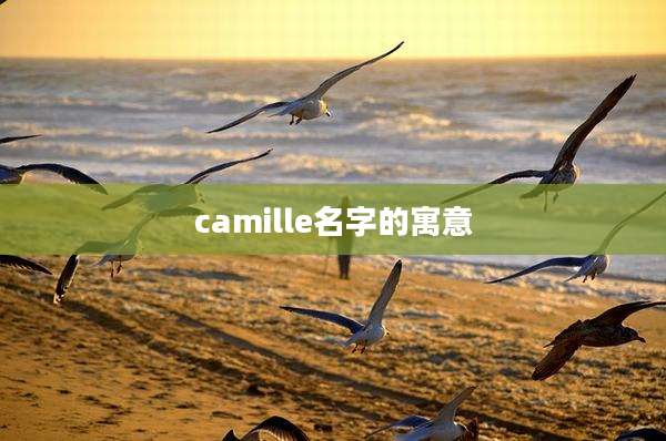 camille名字的寓意
