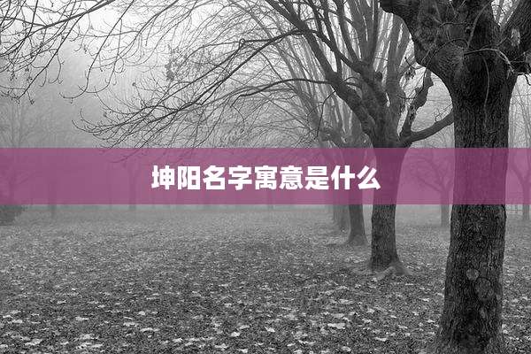 坤阳名字寓意是什么