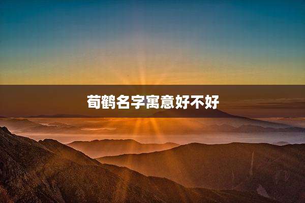 荀鹤名字寓意好不好