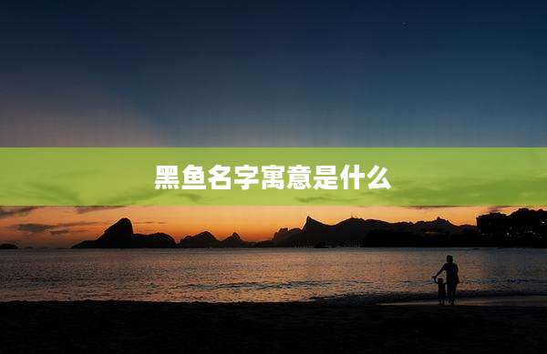 黑鱼名字寓意是什么