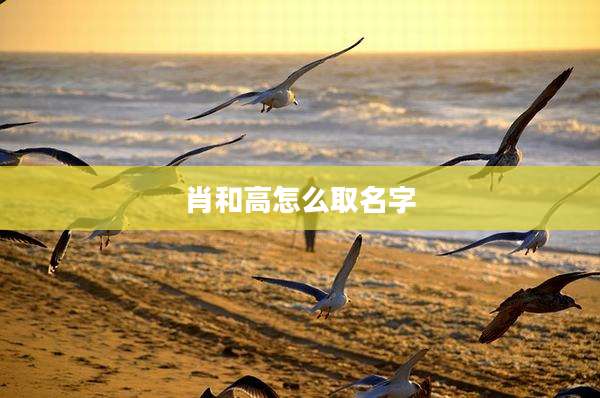 肖和高怎么取名字