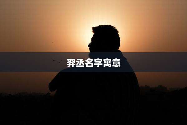 羿丞名字寓意