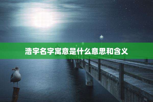 浩宇名字寓意是什么意思和含义