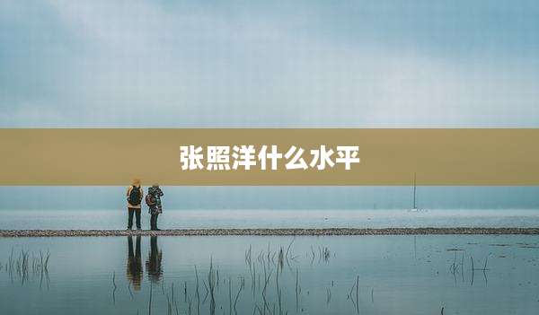 张照洋什么水平