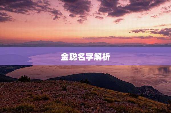 金聪名字解析