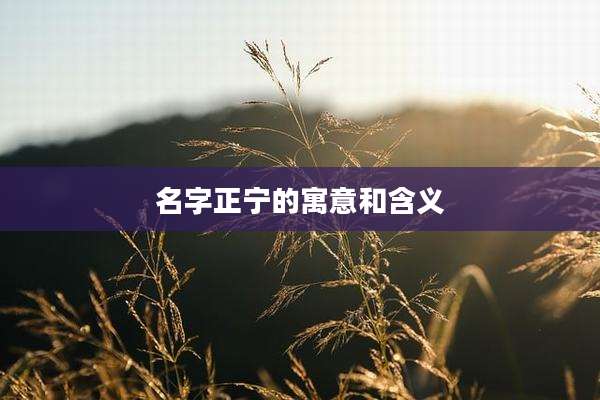 名字正宁的寓意和含义