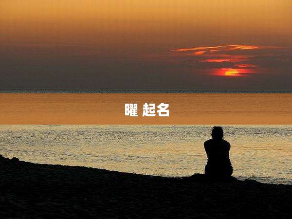 曜 起名