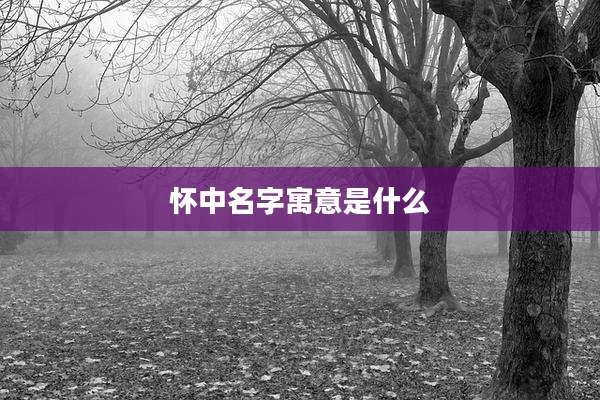 怀中名字寓意是什么