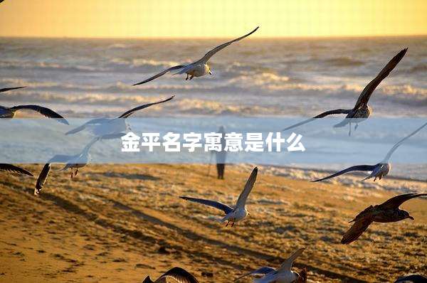 金平名字寓意是什么