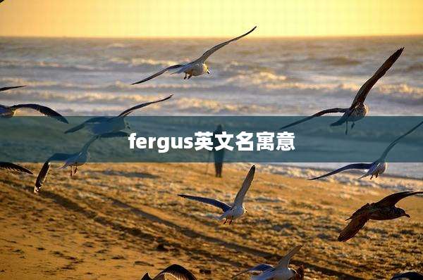 fergus英文名寓意
