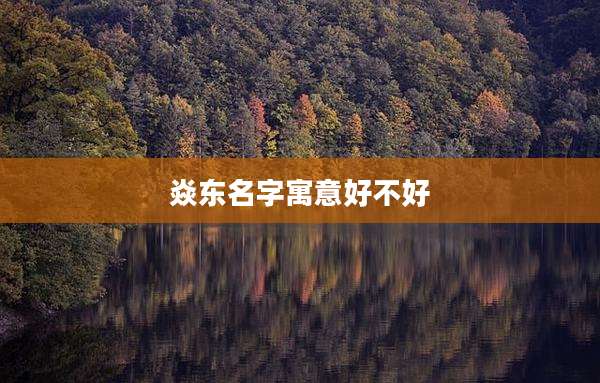 焱东名字寓意好不好