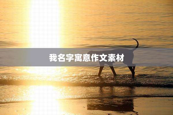 我名字寓意作文素材