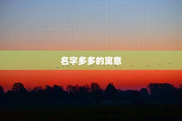 名字多多的寓意