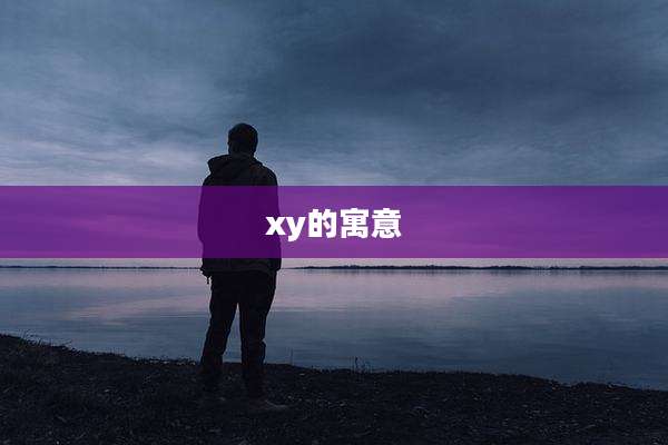 xy的寓意