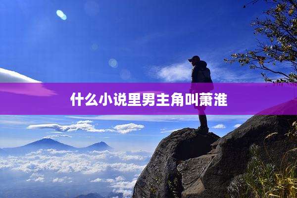 什么小说里男主角叫萧淮