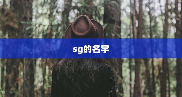 sg的名字
