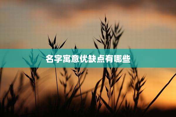 名字寓意优缺点有哪些