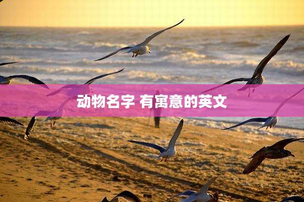 动物名字 有寓意的英文