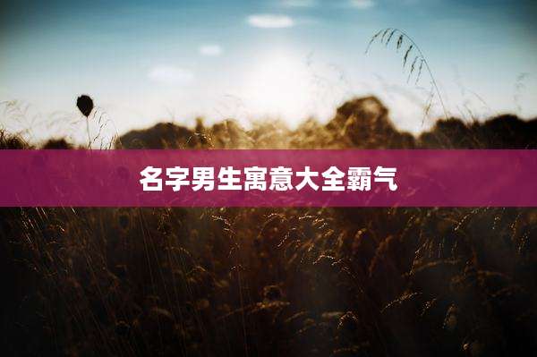 名字男生寓意大全霸气