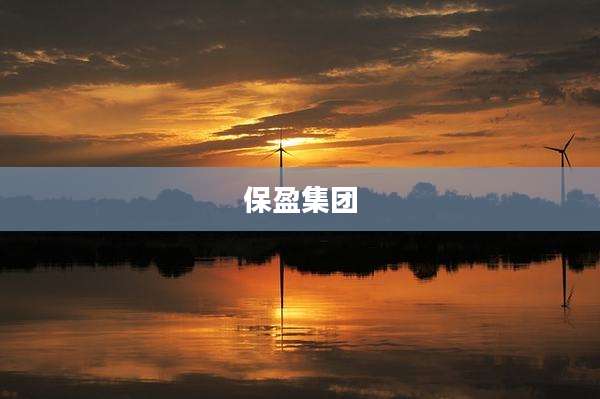 保盈集团