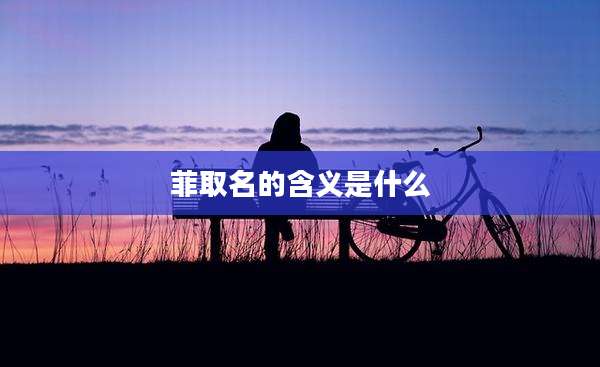 菲取名的含义是什么