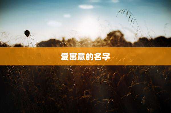 爱寓意的名字