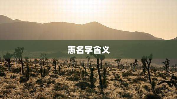 蕙名字含义