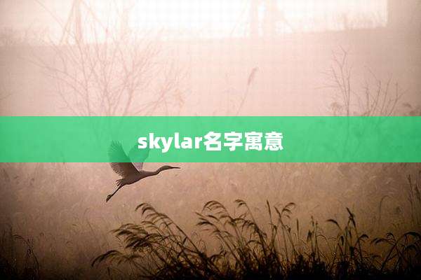 skylar名字寓意