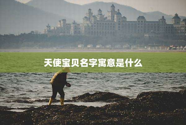 天使宝贝名字寓意是什么