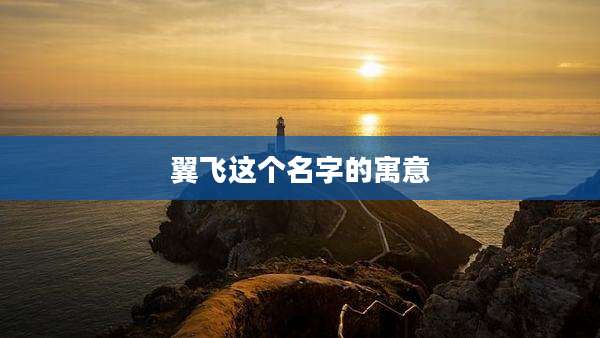翼飞这个名字的寓意