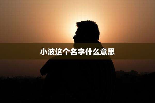 小波这个名字什么意思