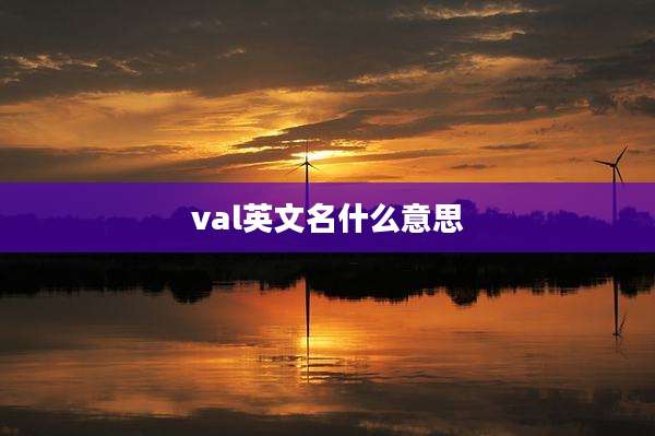 val英文名什么意思