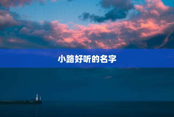 小路好听的名字