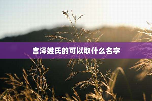 宫泽姓氏的可以取什么名字