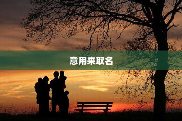 意用来取名