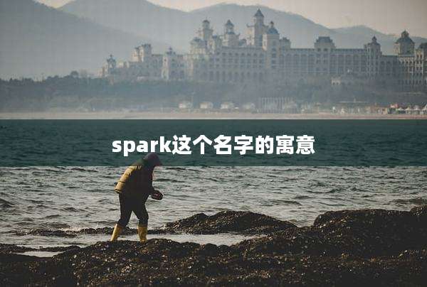 spark这个名字的寓意